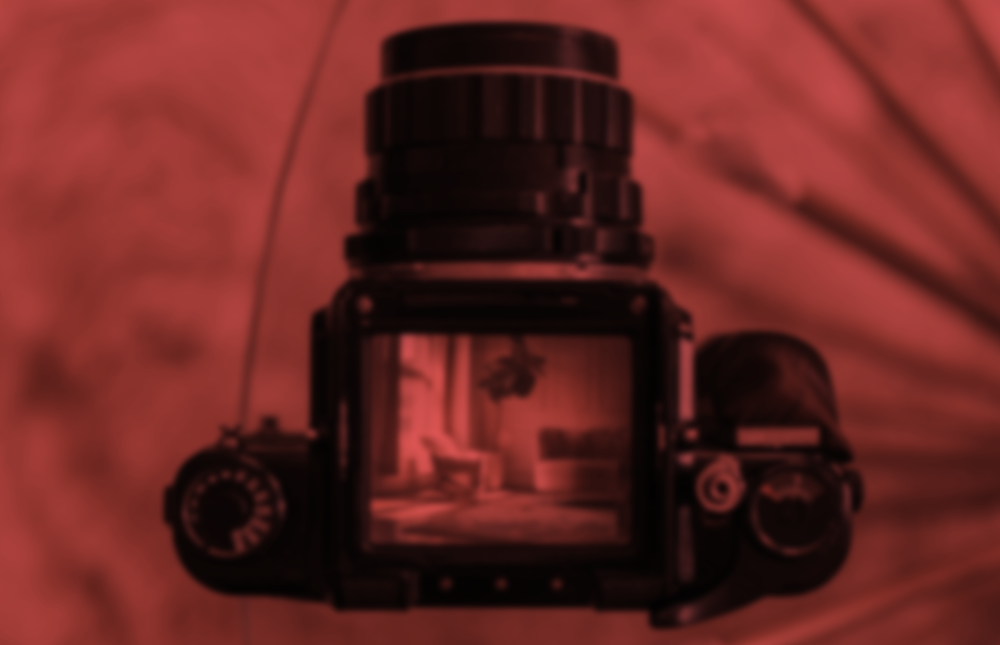 Real Estate Photography